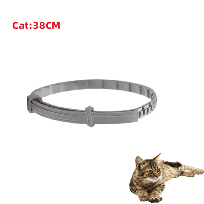 Pet anti Flea Ticks Anti-Parasitic Collar