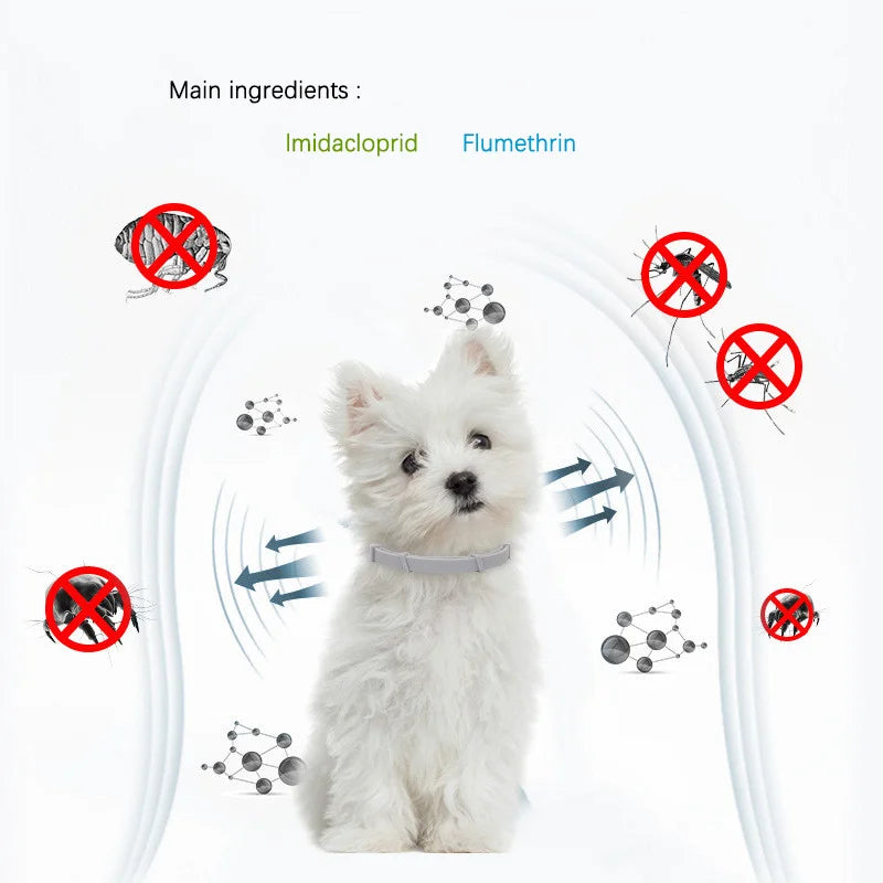 Pet anti Flea Ticks Anti-Parasitic Collar