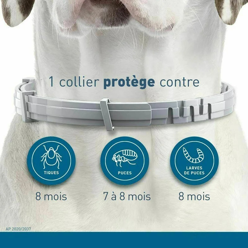 Pet anti Flea Ticks Anti-Parasitic Collar