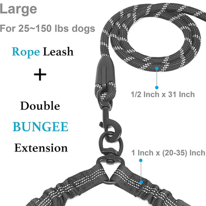 Dual Dog Leash.