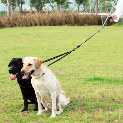 Dual Dog Leash.