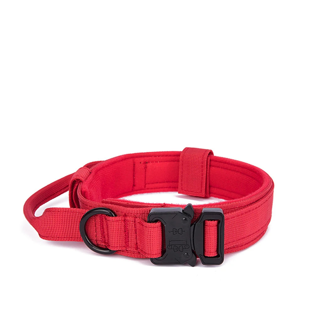 Pet Dog Collar Leash Set.